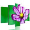 5-dielny obraz jedinečný kvet krasuľky