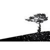 Tapeta zaujímavý obrys stromu