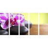 5-dielny obraz zaujímavo sfarbená orchidea a Zen kamene