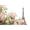 Samolepiaca fototapeta Eiffelova veža s romantickými kvetmi