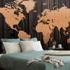 Samolepiaca tapeta luxusná mapa sveta