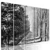 5-dielny obraz zasnežená alej v čiernobielom prevedení