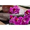 Obraz Feng Shui zátišie s orchideou