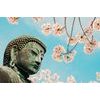 Obraz Budha pod holým nebom