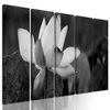5-dielny obraz nádherny kvet v čiernobielom prevedení