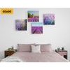 Set obrazov krásne levanduľové polia