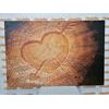 Obraz znak lásky vyrezaný na pni