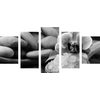 5-dielny obraz wellness zátišie s morskou soľou v čiernobielom prevedení