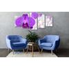 5-dielny obraz orchidea na elegantom pozadí