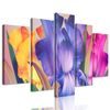 5-dielny obraz nádherné pestrofarebné kvety