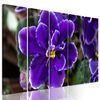 5-dielny obraz kvitnúca fialka