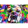 Samolepiaca tapeta buldog v pop art prevedení