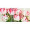 5-dielny obraz romantické tulipány