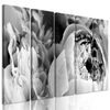 5-dielny obraz detail na kvety v čiernobielom prevedení