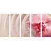 5-dielny obraz ružová orchidea v Zen zátiší