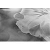 Obraz nežná ľalia v čiernobielom prevedení