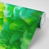 Nádherná samolepiaca tapeta zelená explózia farieb