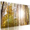 5-dielny obraz slnko v korunách stromov