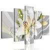 5-dielny obraz jedinečná biela ľalia