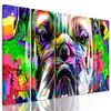 5-dielny obraz buldog v pop art prevedení