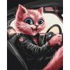 Maľovanie podľa čísiel mačka šoférka