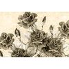 Obraz divé ruže v sépiovom prevedení