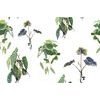 Samolepiaca tapeta pôvabné tropické rastliny