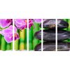 5-dielny obraz bambusová Zen záhrada