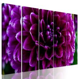 5-dielny obraz ohromný purpurový kvet