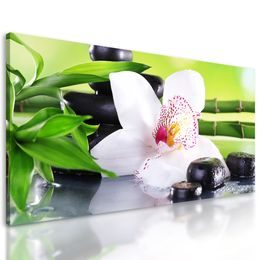 Obraz zen zátišie s orchideou