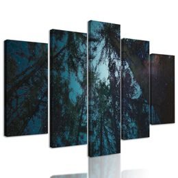 5-dielny obraz obloha medzi korunami stromov