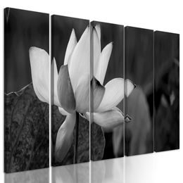 5-dielny obraz nádherny kvet v čiernobielom prevedení