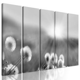 5-dielny obraz čiernobiela letná lúka v plnej kráse