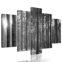 5-dielny obraz lúče slnka medzi stromami v čiernobielom prevedení