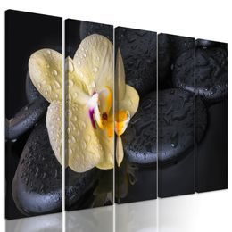 5-dielny obraz lávové kamene a zaujímavá orchidea