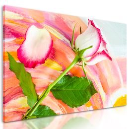 Obraz ruža s pestrofarebným pozadím