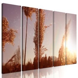 5-dielny obraz steblá trávy pri západe slnka