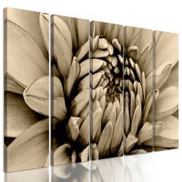 5-dielny obraz perfektný detail na kvet dálie v sépiovom prevedení