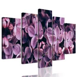 5-dielny obraz zaujímavé kvety vo vintage prevedení