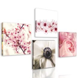 Set obrazov jemné romantické kvety