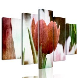 5-dielny obraz divý tulipán vo vintage štýle