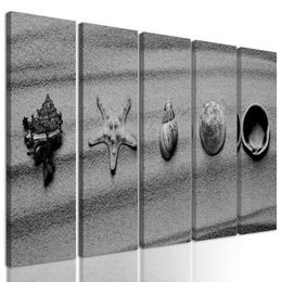 5-dielny obraz čiernobiele mušle na piesku
