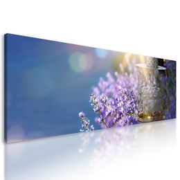 Obraz nádherné modro-fialové kvety levandule