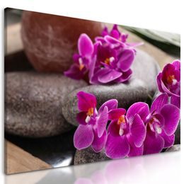 Obraz Feng Shui zátišie s orchideou