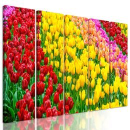 5-dielny obraz tulipánový sad