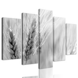 5-dielny obraz detail pšenice v čiernobielom prevedení