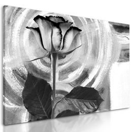 Obraz ruža na maľovanom pozadí v čiernobielom prevedení