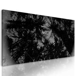 Obraz abstrakcia tropického lesa v čiernobielom prevedení