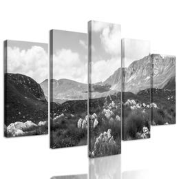 5-dielny obraz krásy prírody v čiernobielom prevedení
