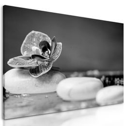 Obraz zaujímavé biele Zen kamene a kvet orchidei v čiernobielom prevedení